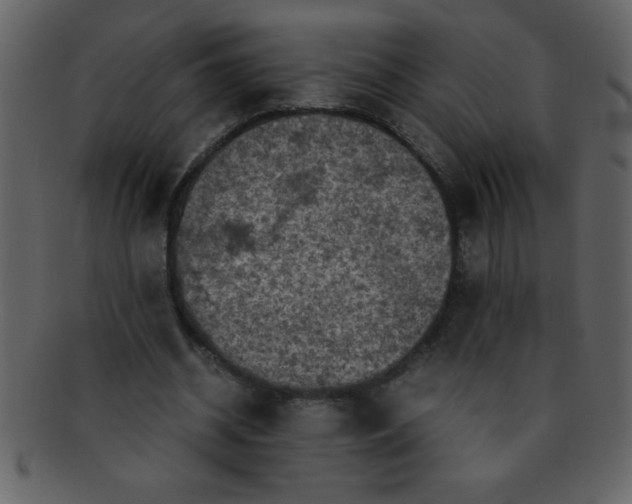 X0000093120534200710171248