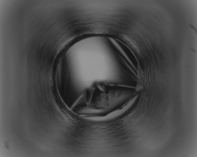 X0000093120536200710171248