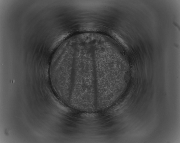 X0000093120537200710171248