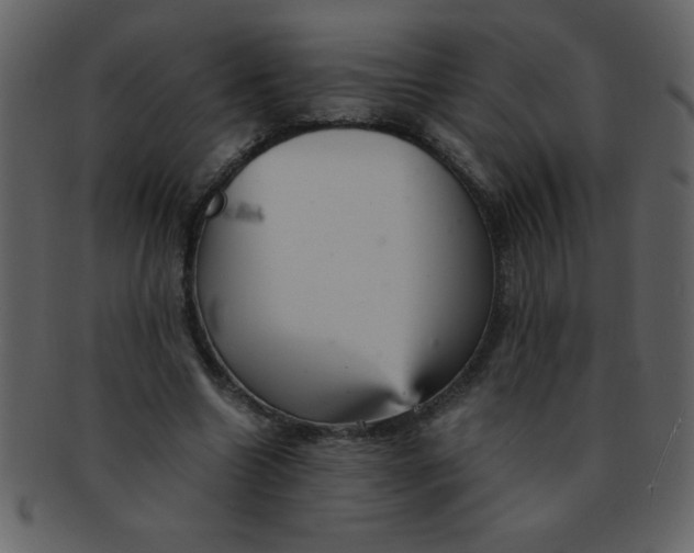 X0000093120538200710171248