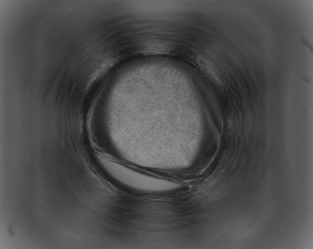 X0000093120539200710171248