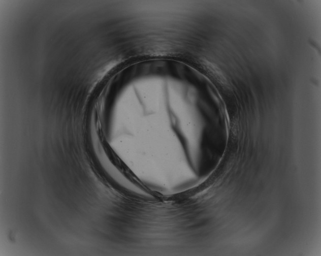 X0000093120540200710171248