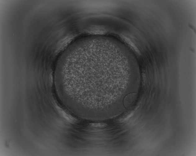 X0000093120541200710171248