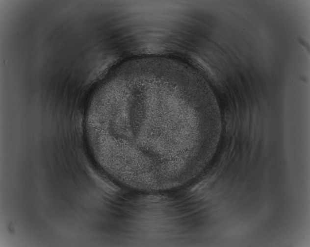 X0000093120542200710171248