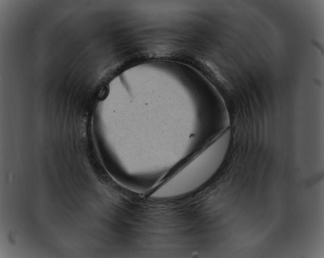 X0000093120543200710171248