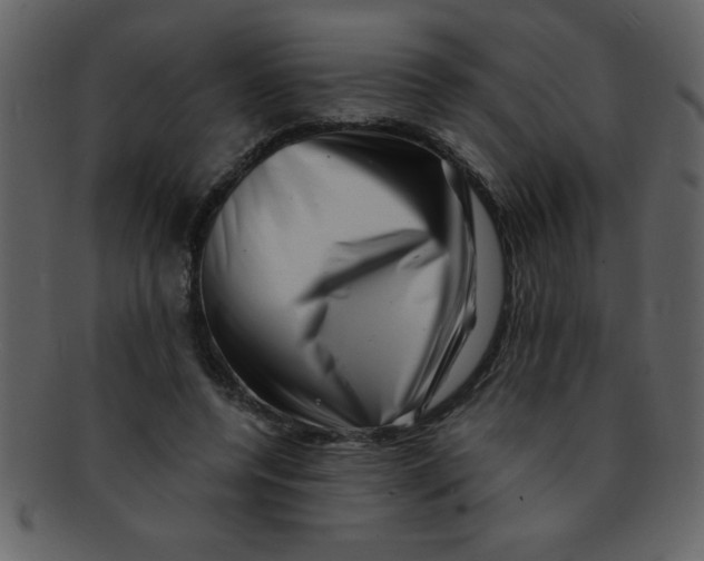 X0000093120544200710171248