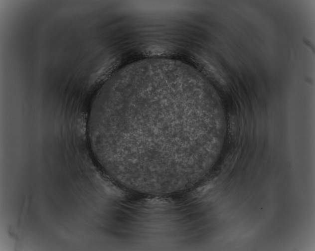 X0000093120545200710171248