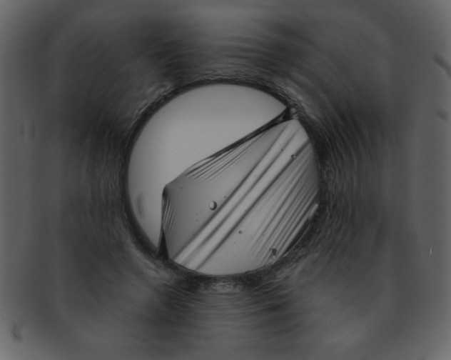 X0000093120546200710171248