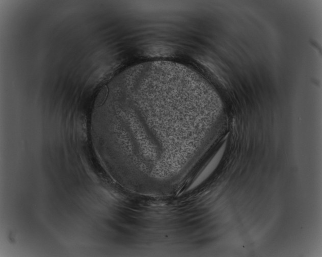 X0000093120547200710171248