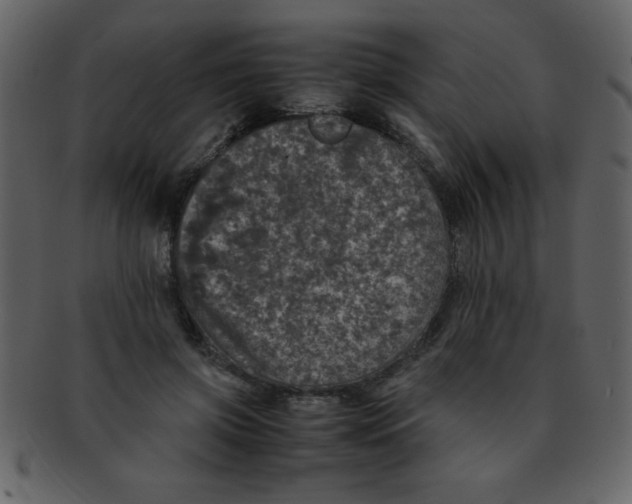 X0000093120549200710171248