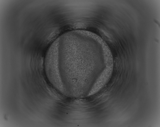 X0000093120550200710171248