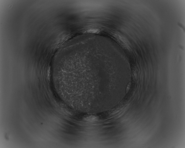 X0000093120551200710171248