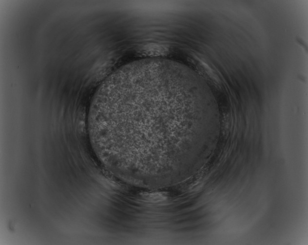 X0000093120553200710171248