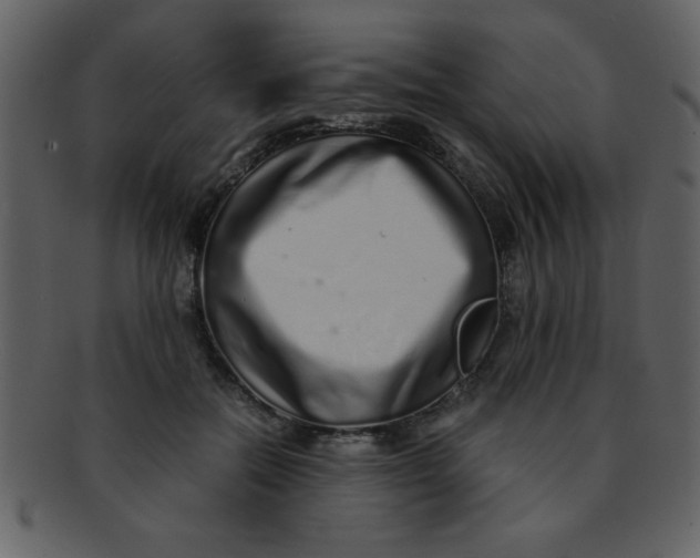 X0000093120554200710171248