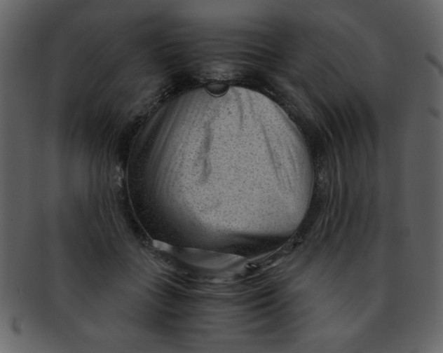 X0000093120555200710171248