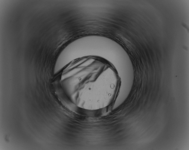 X0000093120556200710171248