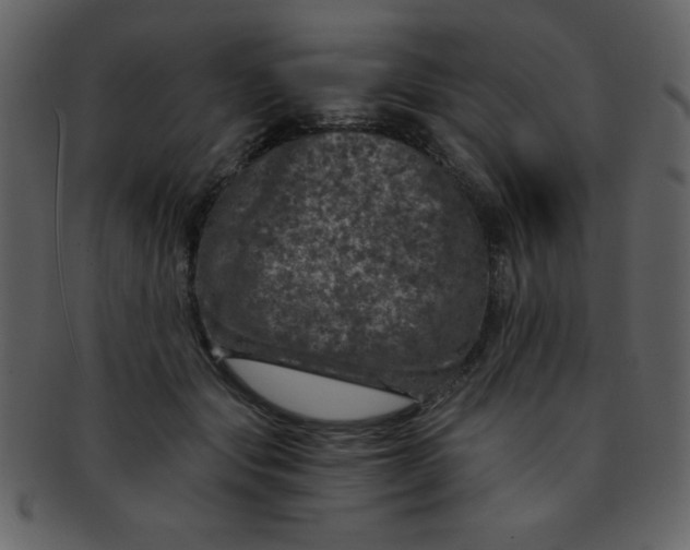 X0000093120557200710171248