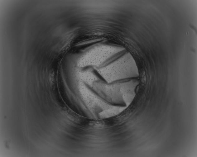 X0000093120559200710171248