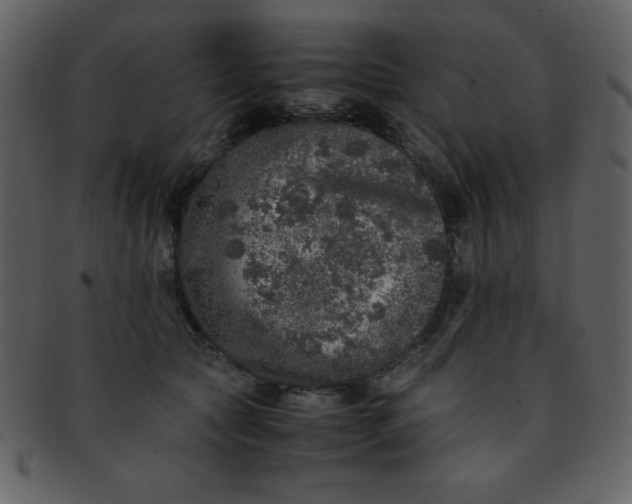 X0000093120561200710171248