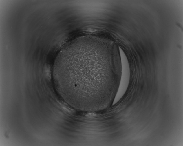 X0000093120562200710171248