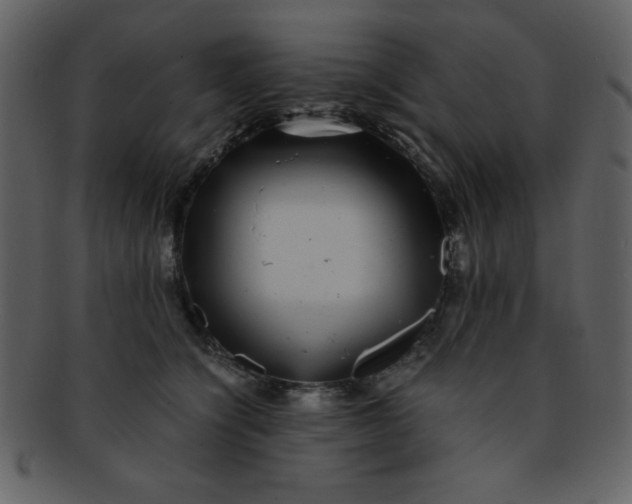 X0000093120564200710171248