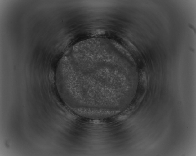 X0000093120565200710171248