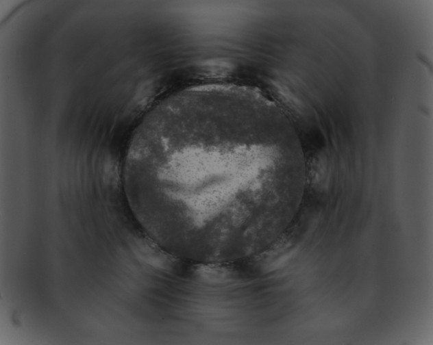 X0000093120568200710171248