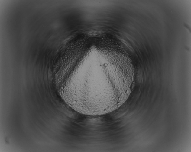 X0000093120569200710171248