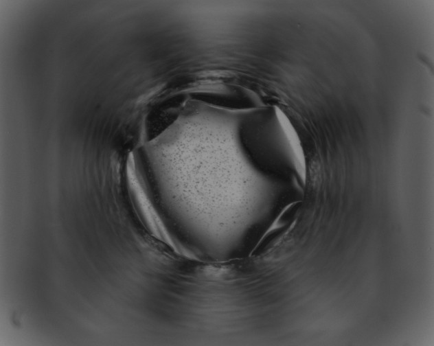 X0000093120570200710171248