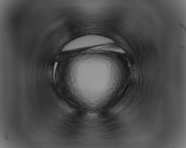 X0000093120573200710171248