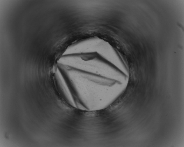 X0000093120574200710171248