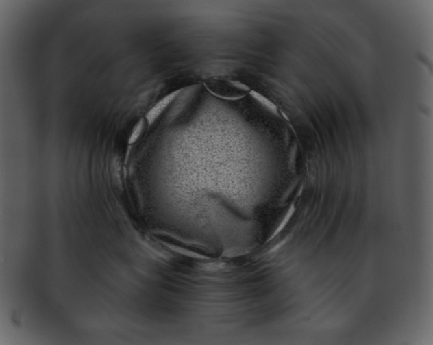 X0000093120575200710171248