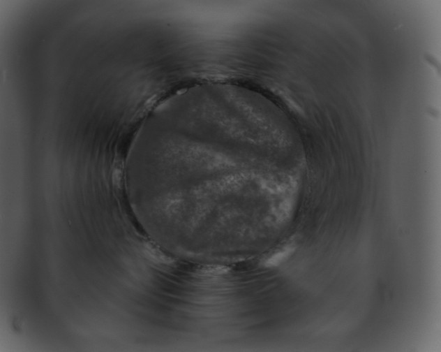 X0000093120576200710171248