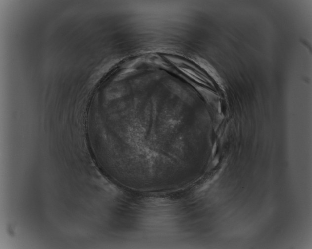 X0000093120577200710171247