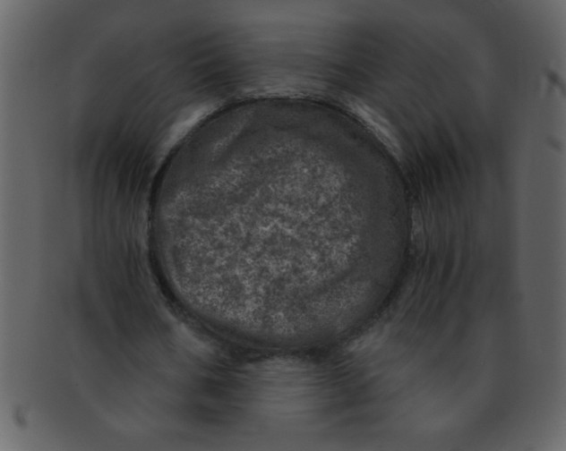 X0000093120578200710171247