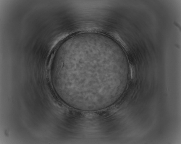 X0000093120579200710171247