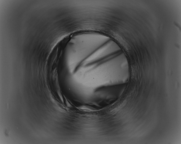 X0000093120580200710171247