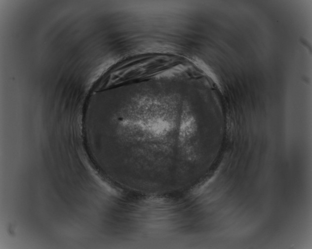 X0000093120581200710171247