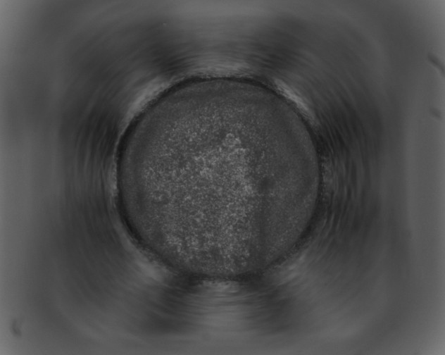 X0000093120582200710171247