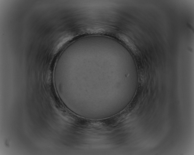 X0000093120583200710171247