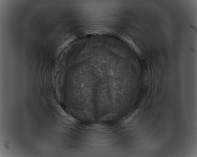 X0000093120585200710171247