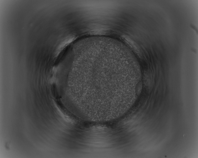 X0000093120586200710171247