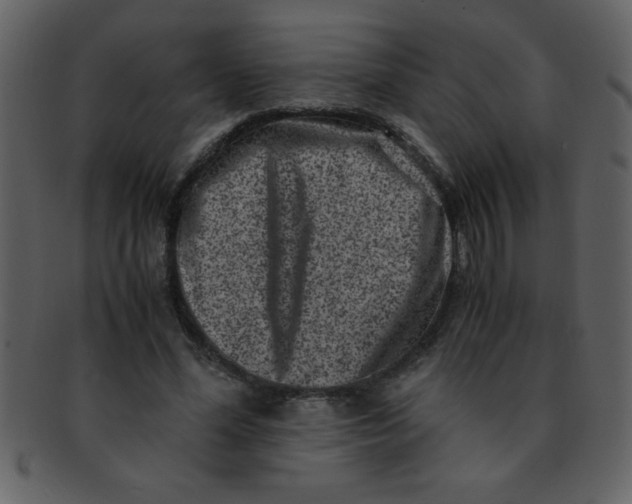 X0000093120588200710171247