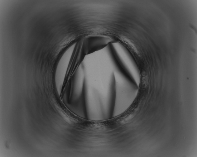 X0000093120589200710171247