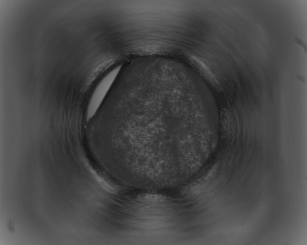 X0000093120590200710171247