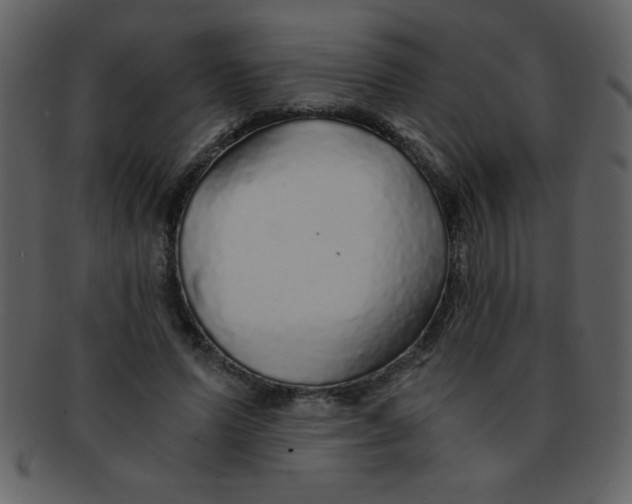 X0000093120591200710171247