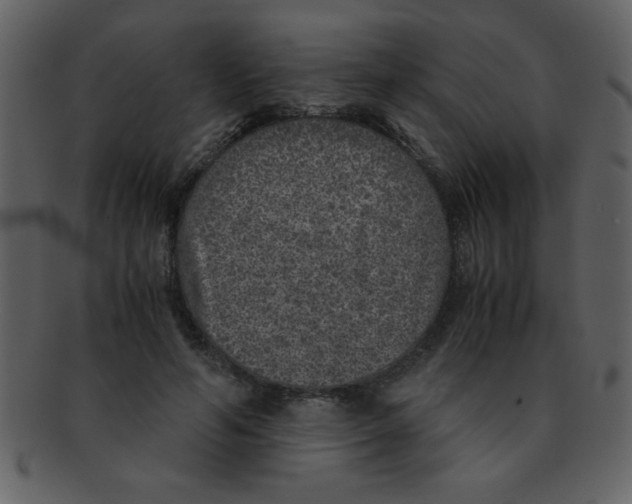 X0000093120594200710171247