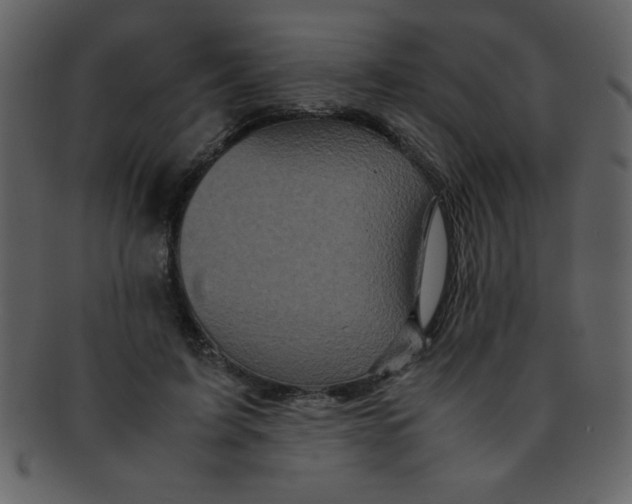 X0000093120595200710171247