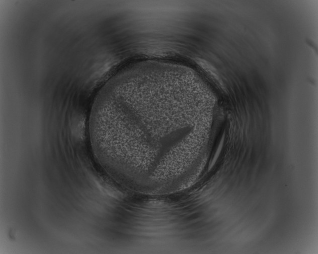 X0000093120596200710171247