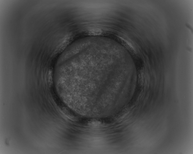 X0000093120598200710171247